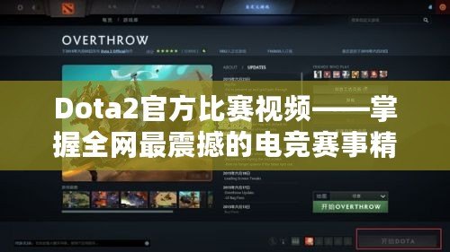 Dota2官方比賽視頻——掌握全網(wǎng)最震撼的電競(jìng)賽事精華