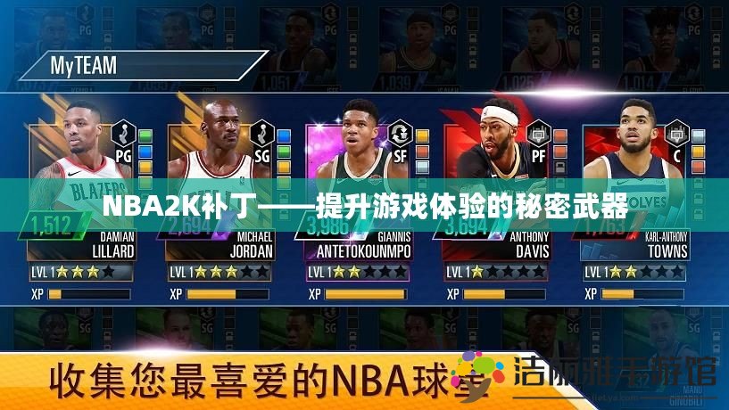 NBA2K補丁——提升游戲體驗的秘密武器