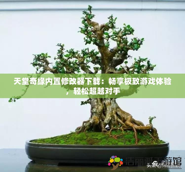 天堂奇緣內(nèi)置修改器下載：暢享極致游戲體驗(yàn)，輕松超越對手