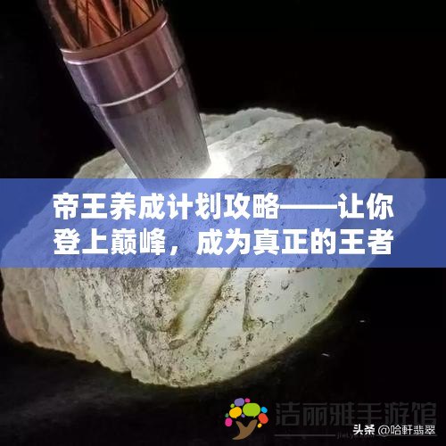 帝王養(yǎng)成計(jì)劃攻略——讓你登上巔峰，成為真正的王者