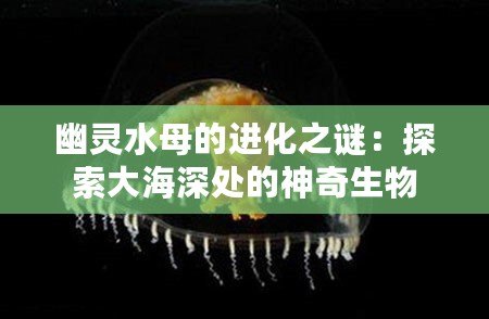 幽靈水母的進(jìn)化之謎：探索大海深處的神奇生物