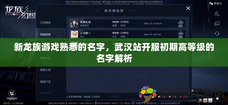 新龍族游戲熟悉的名字，武漢站開服初期高等級的名字解析