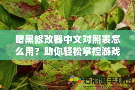 暗黑修改器中文對(duì)照表怎么用？助你輕松掌控游戲全局！