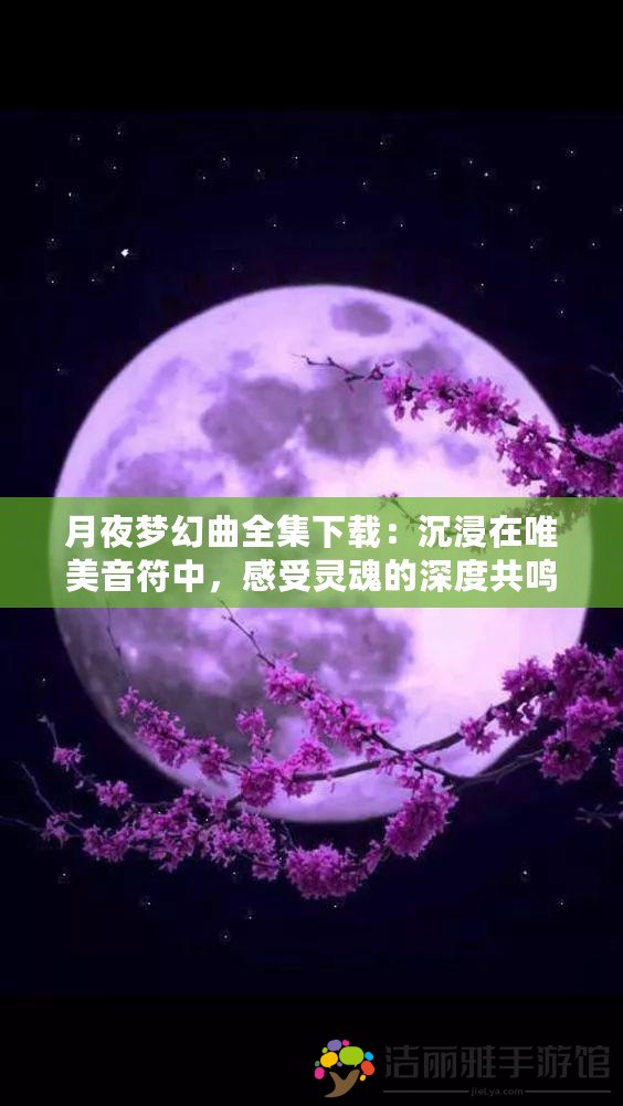 月夜夢(mèng)幻曲全集下載：沉浸在唯美音符中，感受靈魂的深度共鳴