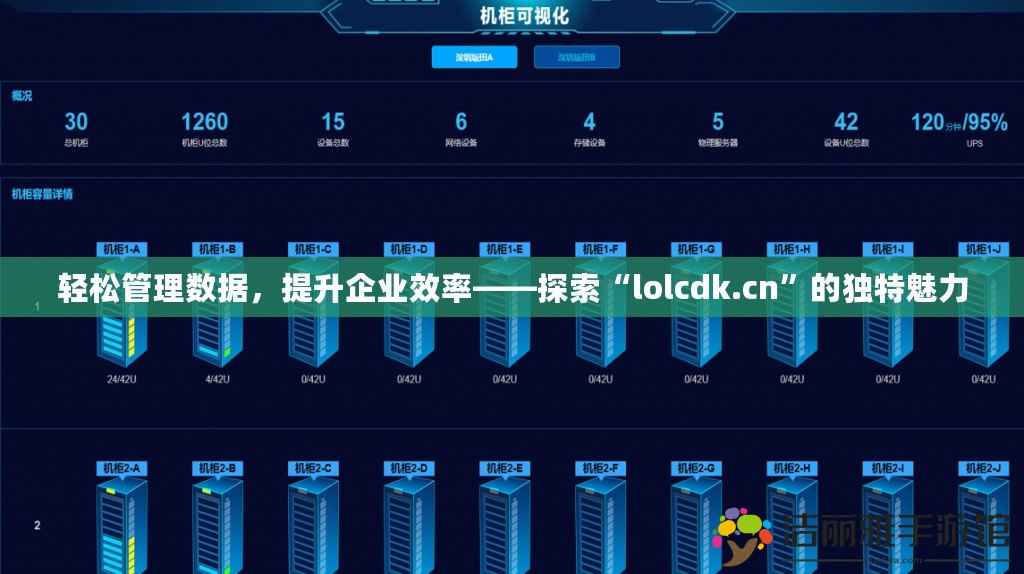 輕松管理數(shù)據(jù)，提升企業(yè)效率——探索“l(fā)olcdk.cn”的獨特魅力