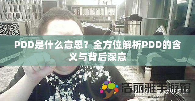 PDD是什么意思？全方位解析PDD的含義與背后深意