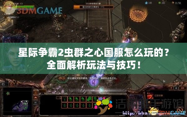 星際爭霸2蟲群之心國服怎么玩的？全面解析玩法與技巧！