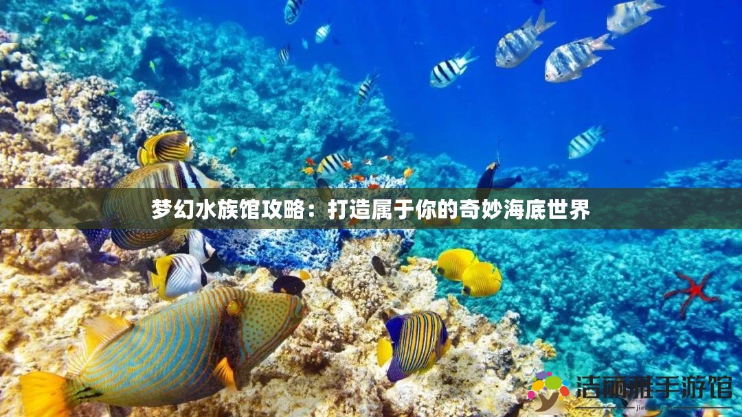 夢(mèng)幻水族館攻略：打造屬于你的奇妙海底世界