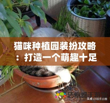 貓咪種植園裝扮攻略：打造一個(gè)萌趣十足的貓咪樂(lè)園