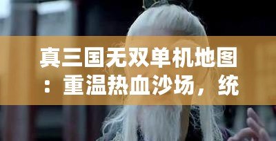 真三國(guó)無(wú)雙單機(jī)地圖：重溫?zé)嵫硤?chǎng)，統(tǒng)領(lǐng)三國(guó)戰(zhàn)局