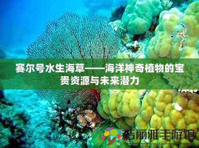 賽爾號水生海草——海洋神奇植物的寶貴資源與未來潛力