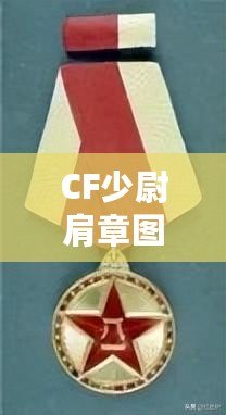 CF少尉肩章圖片——領(lǐng)略軍裝魅力，展現(xiàn)自信風(fēng)采