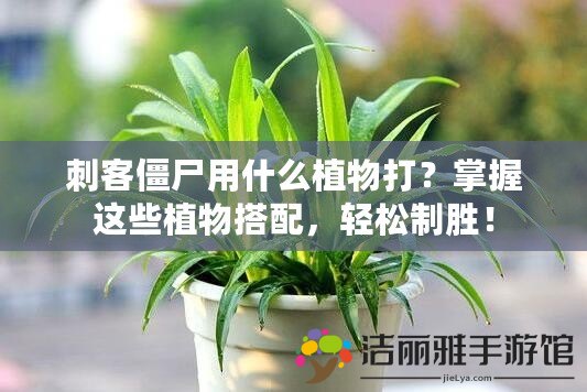 刺客僵尸用什么植物打？掌握這些植物搭配，輕松制勝！