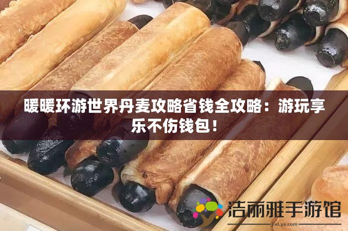 暖暖環(huán)游世界丹麥攻略省錢全攻略：游玩享樂不傷錢包！