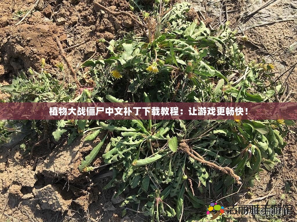 植物大戰(zhàn)僵尸中文補丁下載教程：讓游戲更暢快！