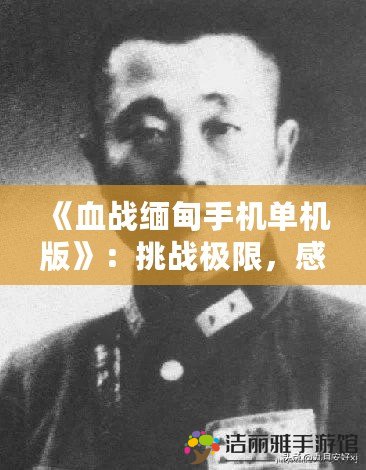 《血戰(zhàn)緬甸手機單機版》：挑戰(zhàn)極限，感受真實戰(zhàn)場的震撼！