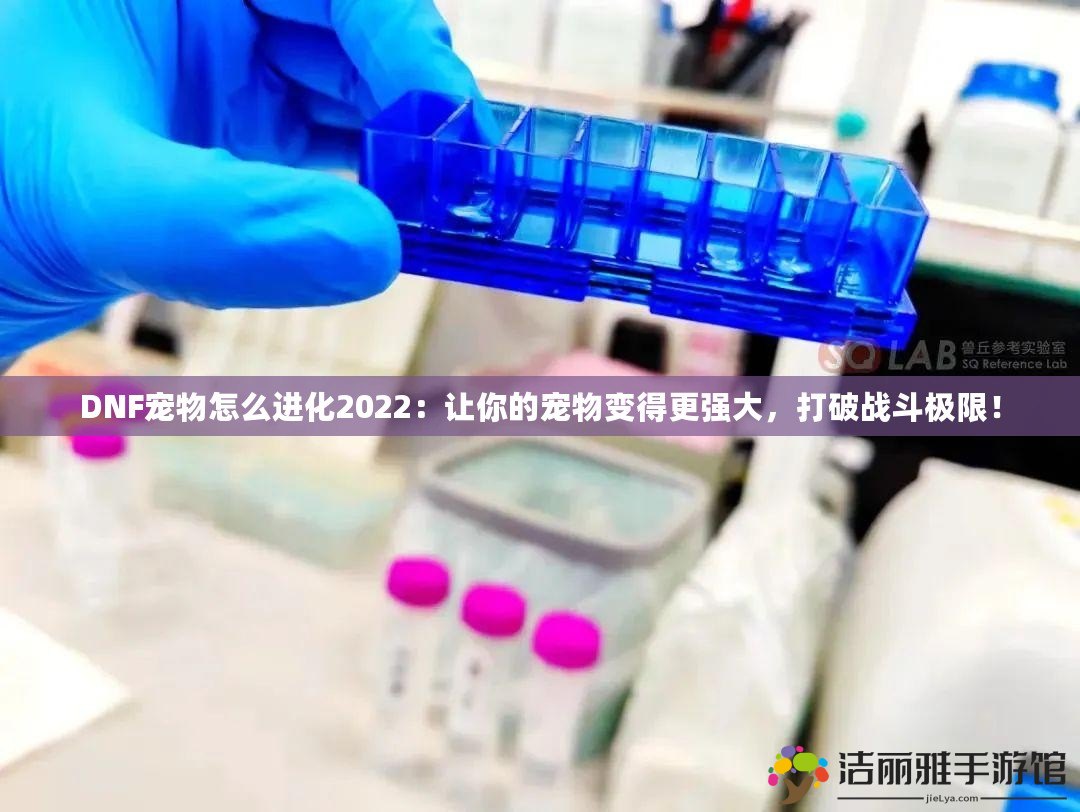 DNF寵物怎么進(jìn)化2022：讓你的寵物變得更強(qiáng)大，打破戰(zhàn)斗極限！