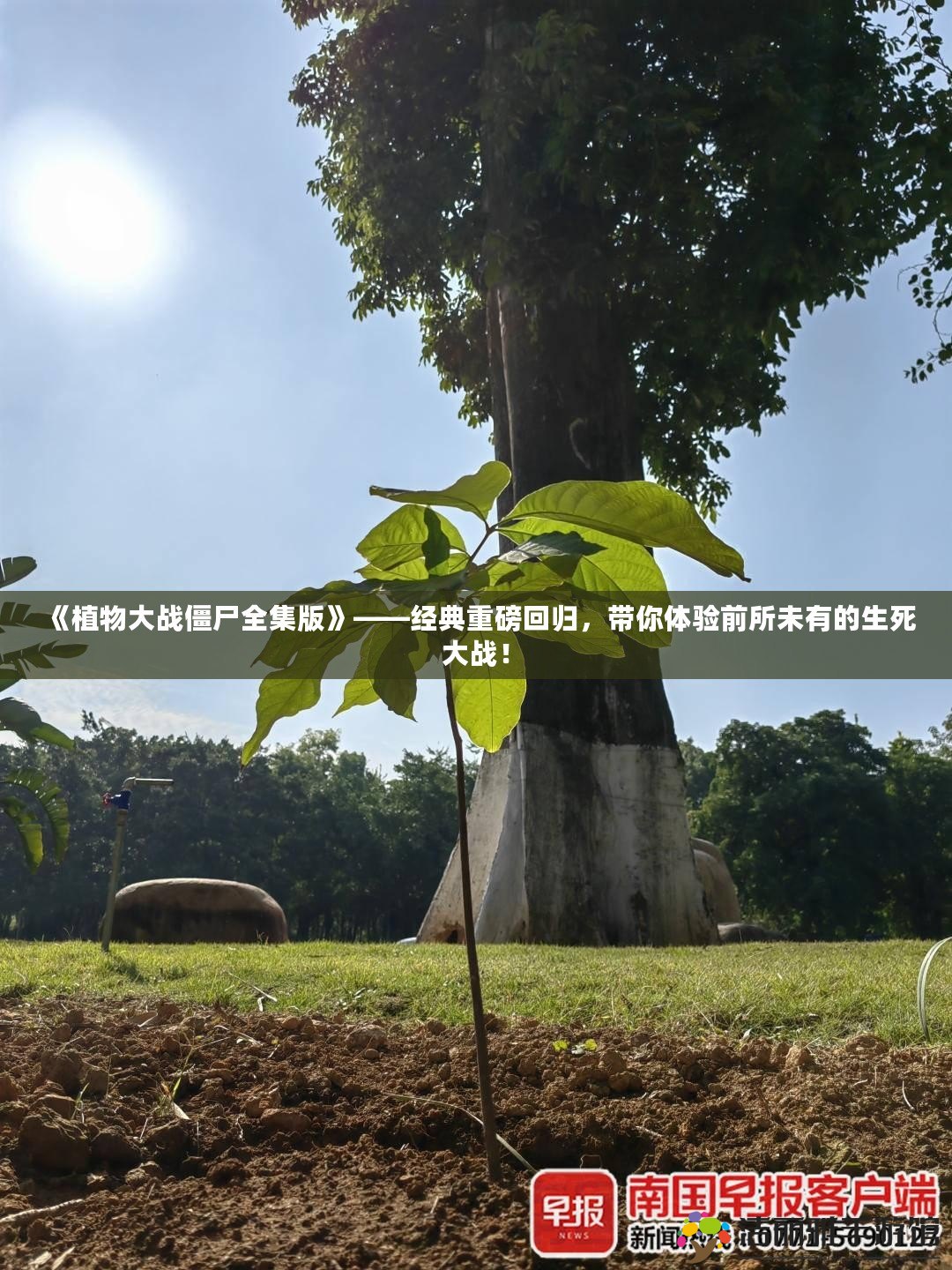 《植物大戰(zhàn)僵尸全集版》——經(jīng)典重磅回歸，帶你體驗(yàn)前所未有的生死大戰(zhàn)！