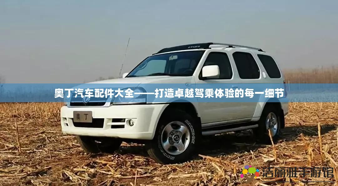 奧丁汽車配件大全——打造卓越駕乘體驗(yàn)的每一細(xì)節(jié)