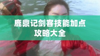 鹿鼎記劍客技能加點攻略大全