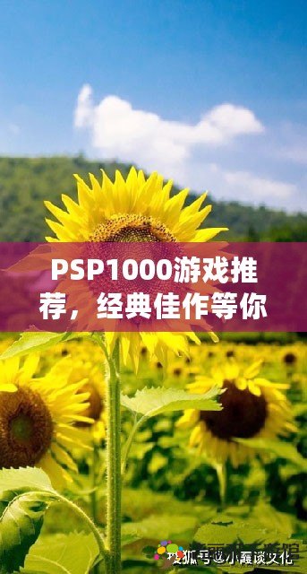 PSP1000游戲推薦，經(jīng)典佳作等你來(lái)體驗(yàn)！