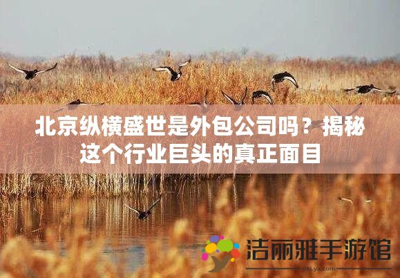 北京縱橫盛世是外包公司嗎？揭秘這個行業(yè)巨頭的真正面目