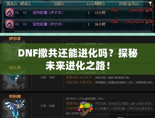 DNF撒共還能進(jìn)化嗎？探秘未來進(jìn)化之路！