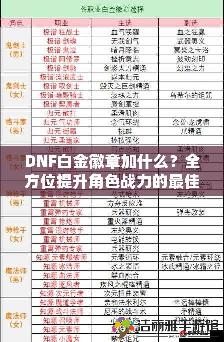 DNF白金徽章加什么？全方位提升角色戰(zhàn)力的最佳選擇