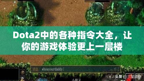 Dota2中的各種指令大全，讓你的游戲體驗(yàn)更上一層樓