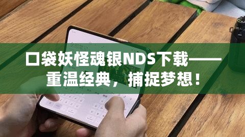 口袋妖怪魂銀NDS下載——重溫經(jīng)典，捕捉夢想！