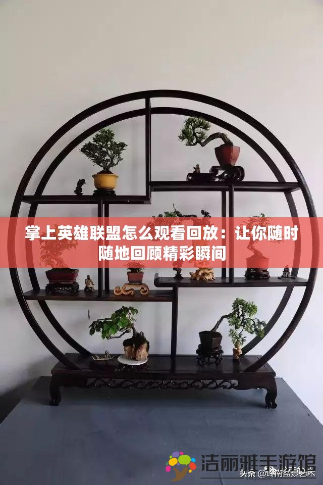 掌上英雄聯(lián)盟怎么觀看回放：讓你隨時(shí)隨地回顧精彩瞬間