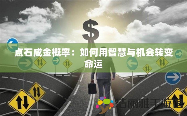 點石成金概率：如何用智慧與機會轉變命運